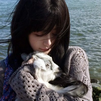 风流世家